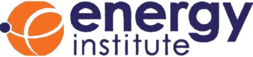  Energy Institute